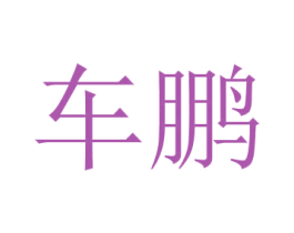 商标图样