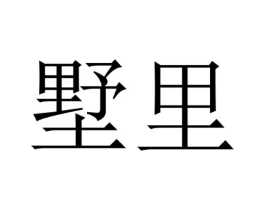 商标图样